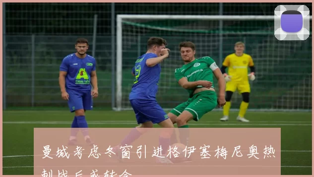 曼城考虑冬窗引进格伊塞梅尼奥热刺战后或转会